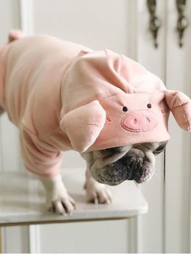 Adorable Piggy Hoodie For Frenchie