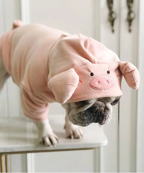 Adorable Piggy Hoodie For Frenchie