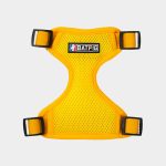 BATPIG Backpack Harness - Wack Wack Ducky
