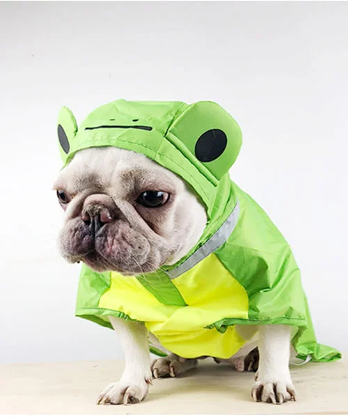 Adorable Froggy Raincoat