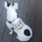 BATPIG Backpack Harness - Cloudy Lamb