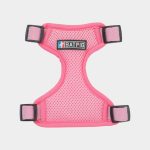 BATPIG Backpack Harness - Oink Oink Piggy