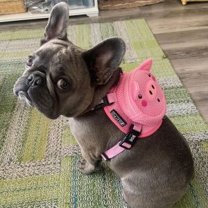 BATPIG Backpack Oink Oink Piggy