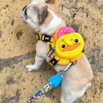 BATPIG Backpack Harness - Wack Wack Ducky
