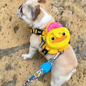 BATPIG Backpack Harness Ducky Customer Photo 3