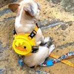 BATPIG Backpack Harness - Wack Wack Ducky
