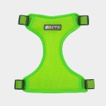 BATPIG Backpack Harness - Froggy Dog