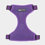BATPIG Backpack Harness - Purple Hippo