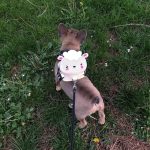 BATPIG Backpack Harness - Cloudy Lamb