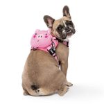 BATPIG Backpack Harness - Oink Oink Piggy