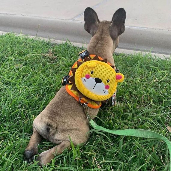 BATPIG Backpack Harness - Brave Lion Yellow