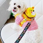 BATPIG Backpack Harness - Brave Lion Yellow