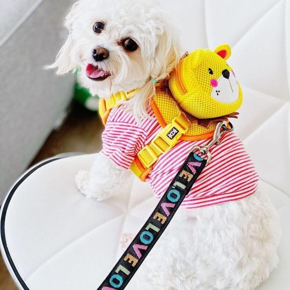 BATPIG Backpack Harness - Brave Lion Yellow
