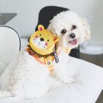 BATPIG Backpack Harness - Brave Lion Yellow