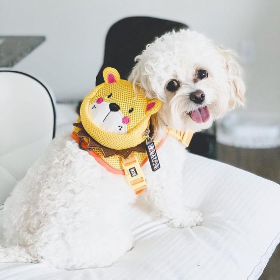 BATPIG Backpack Harness - Brave Lion Yellow