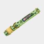 BATPIG Comfort Collar – Froggy Dog