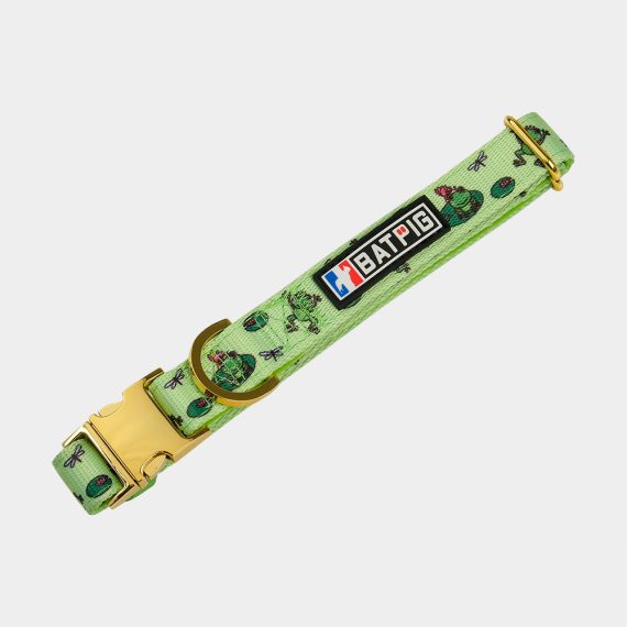 BATPIG Comfort Collar – Froggy Dog