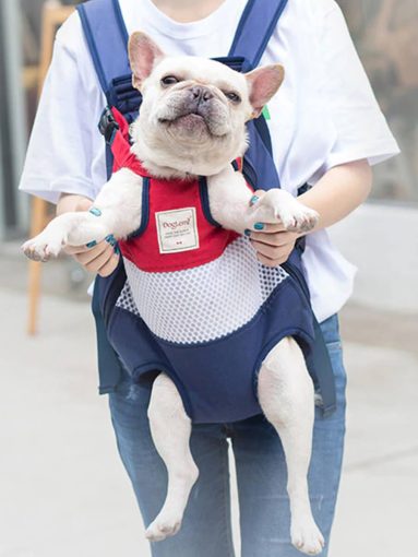 Pet Backpack Carrier For Frenchie