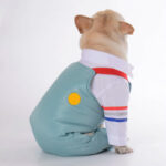 Dog Winter Ski Overall Jumpsuit
