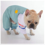 Dog Winter Ski Overall Jumpsuit