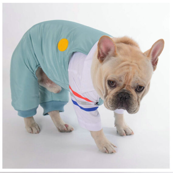 Dog Winter Ski Overall Jumpsuit