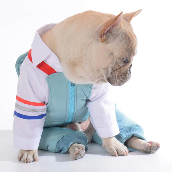 Dog Winter Ski Overall Jumpsuit