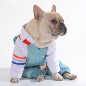 Dog Winter Ski Overall by BATPIG Pet Supply New Photo-12