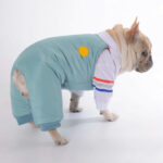 Dog Winter Ski Overall Jumpsuit