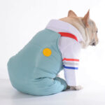 Dog Winter Ski Overall Jumpsuit