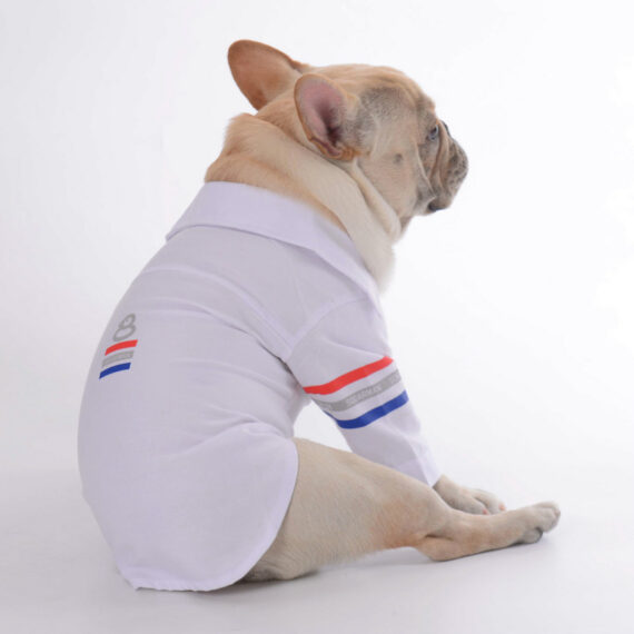 Dog Winter Ski Overall Jumpsuit