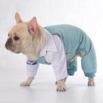 Dog Winter Ski Overall Jumpsuit