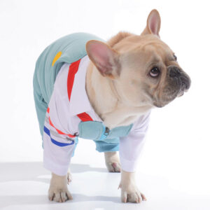 Dog Winter Ski Overall Jumpsuit