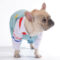 Dog Winter Ski Overall Jumpsuit