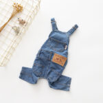 Frenchie Street Style Denim Overalls