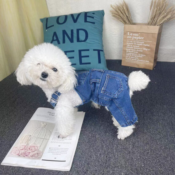 Frenchie Street Style Denim Overalls