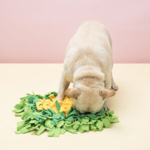 IQ Development Rainbow Snuffle Mat by BATPIG Pet Supply-1