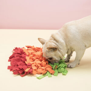 IQ Development Rainbow Snuffle Mat