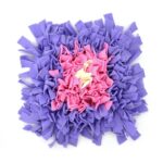 IQ Development Rainbow Snuffle Mat