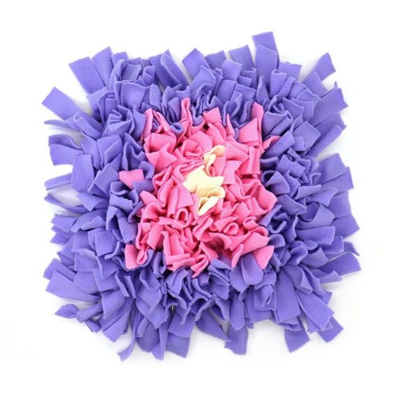 IQ Development Rainbow Snuffle Mat