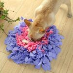 IQ Development Rainbow Snuffle Mat