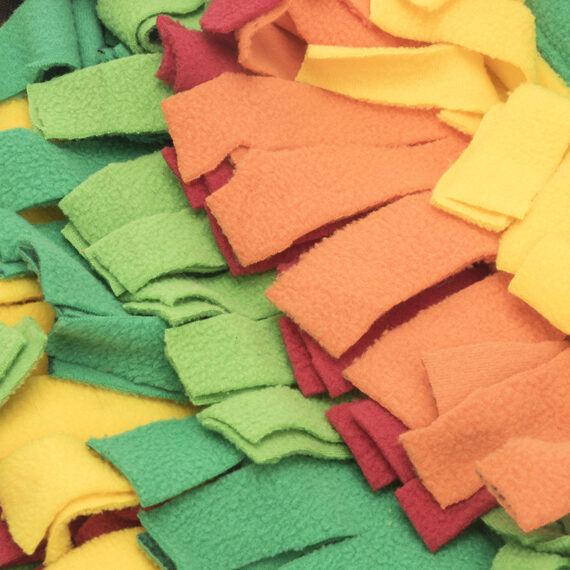 IQ Development Rainbow Snuffle Mat