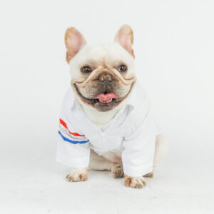 Oxford Dog Shirt by BATPIG Pet Supply New Photo-10