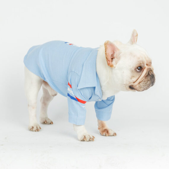 Oxford Dog Shirt