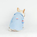 Oxford Dog Shirt