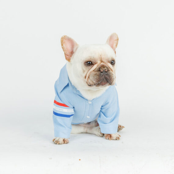 Oxford Dog Shirt