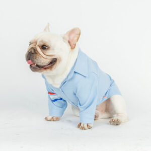 Oxford Dog Shirt