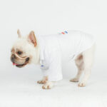 Oxford Dog Shirt
