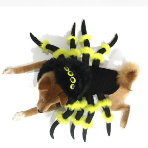 Spiderdog_French_Bulldog_Costume_from_BATPIG_Pet_Supply-1