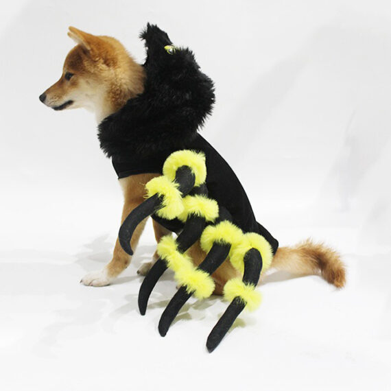 Spiderdog French Bulldog Costume