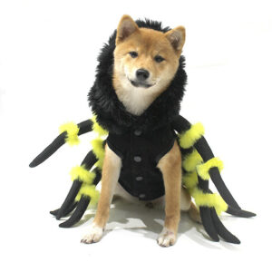 Spiderdog French Bulldog Costume